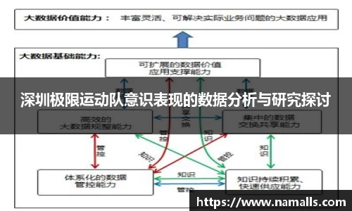 深圳极限运动队意识表现的数据分析与研究探讨